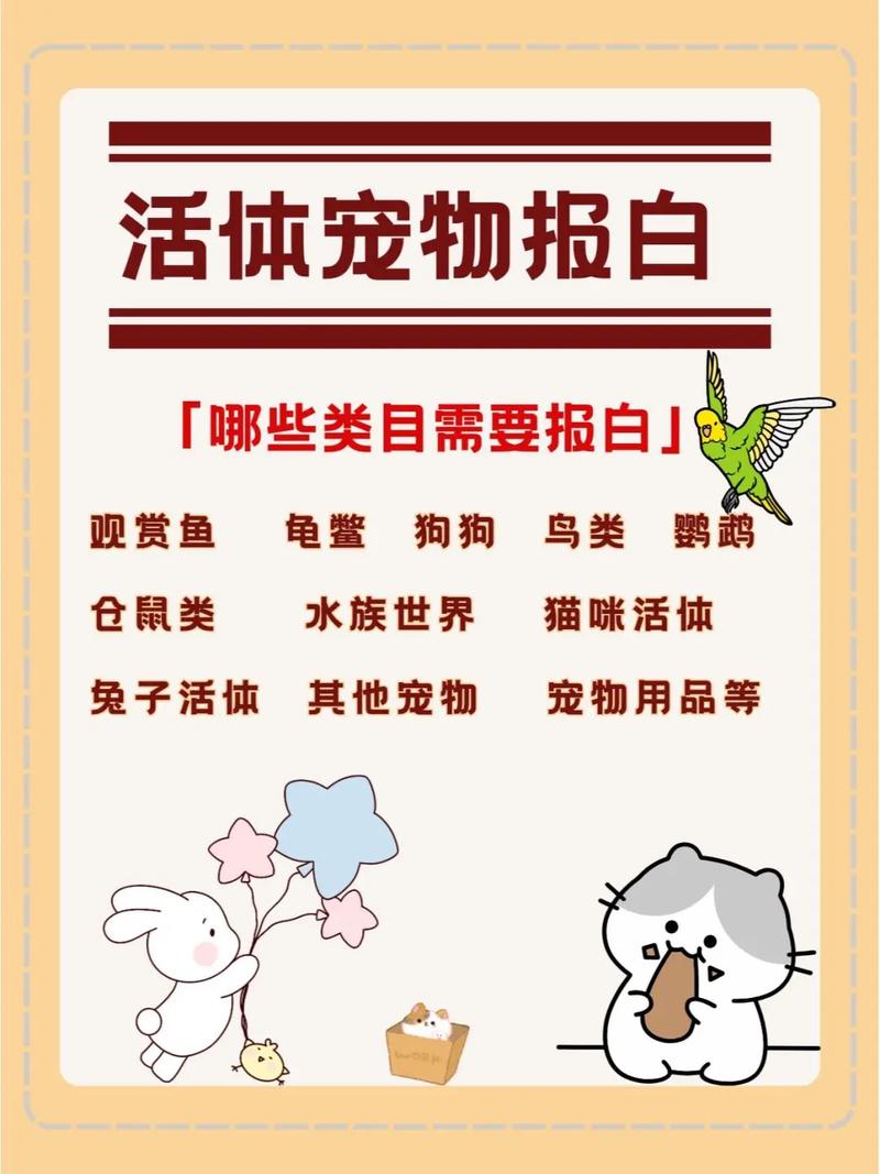 宠物病患维权指南：网购活体宠物纠纷解决全攻略