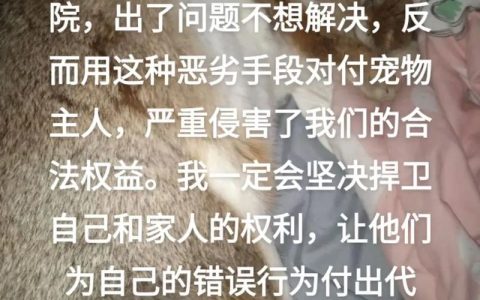 宠物纠纷怎么办？律师教你维权