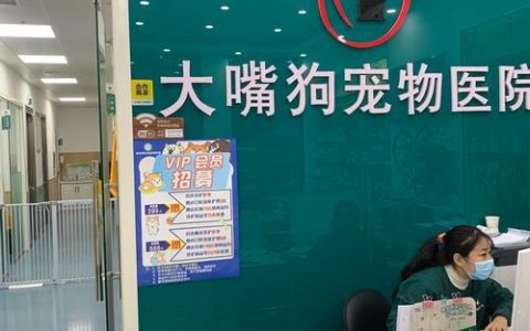 宠物医疗纠纷投诉指南：从取证到维权全攻略