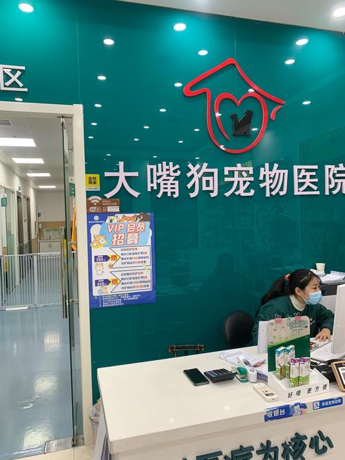 宠物医疗纠纷投诉指南：从取证到维权全攻略