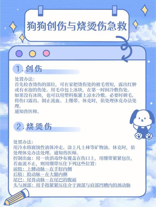 遛狗汪汪大战主人伤，责任谁担？