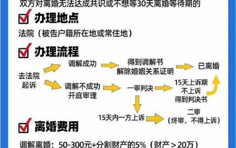 法院离婚全流程详解与关键注意事项