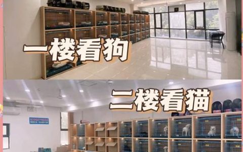 活体宠物交易的法律边界与合规要点解析