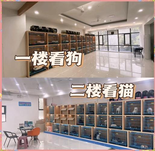 活体宠物交易的法律边界与合规要点解析
