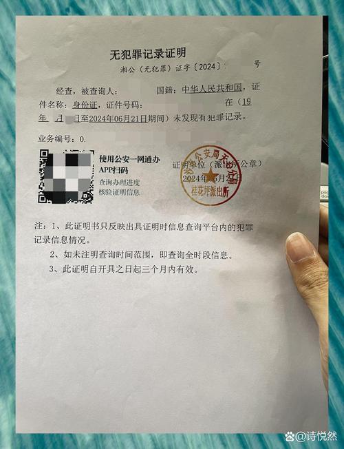 父母无犯罪记录证明办理指南：流程、材料及注意事项