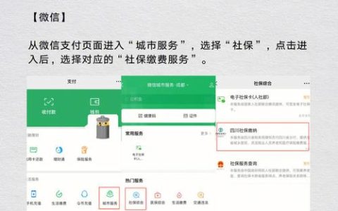 辞职后社保自缴指南：灵活就业人员参保全攻略