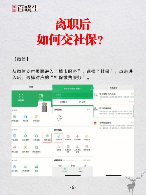 辞职后社保自缴指南：灵活就业人员参保全攻略