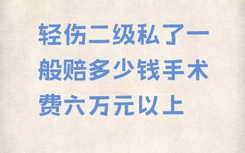 轻伤二级私了赔偿标准与法律责任全解析