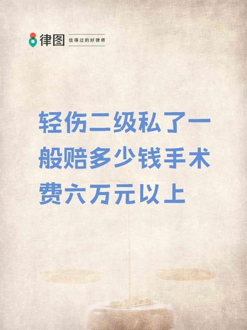 轻伤二级私了赔偿标准与法律责任全解析