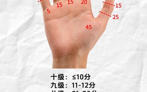 手指十级伤残怎么认定：标准与赔偿全解析