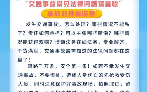 道路交通安全法解析：核心规则与违法行为全览