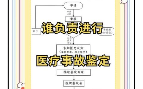 医疗事故鉴定指南：权威机构、申请流程全解读