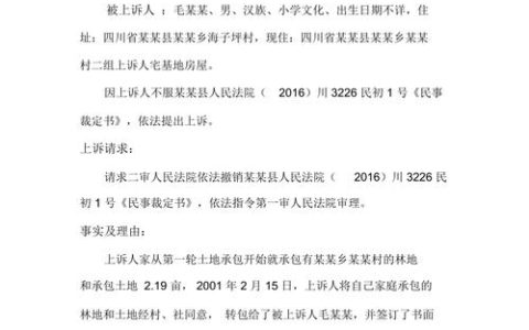 土地确权纠纷：行政处理与法院诉讼路径辨析