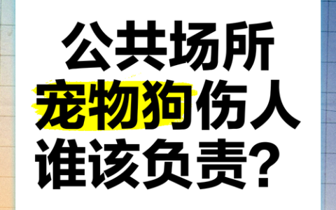 宠物伤人责任谁来负？饲养动物损害赔偿法律要点