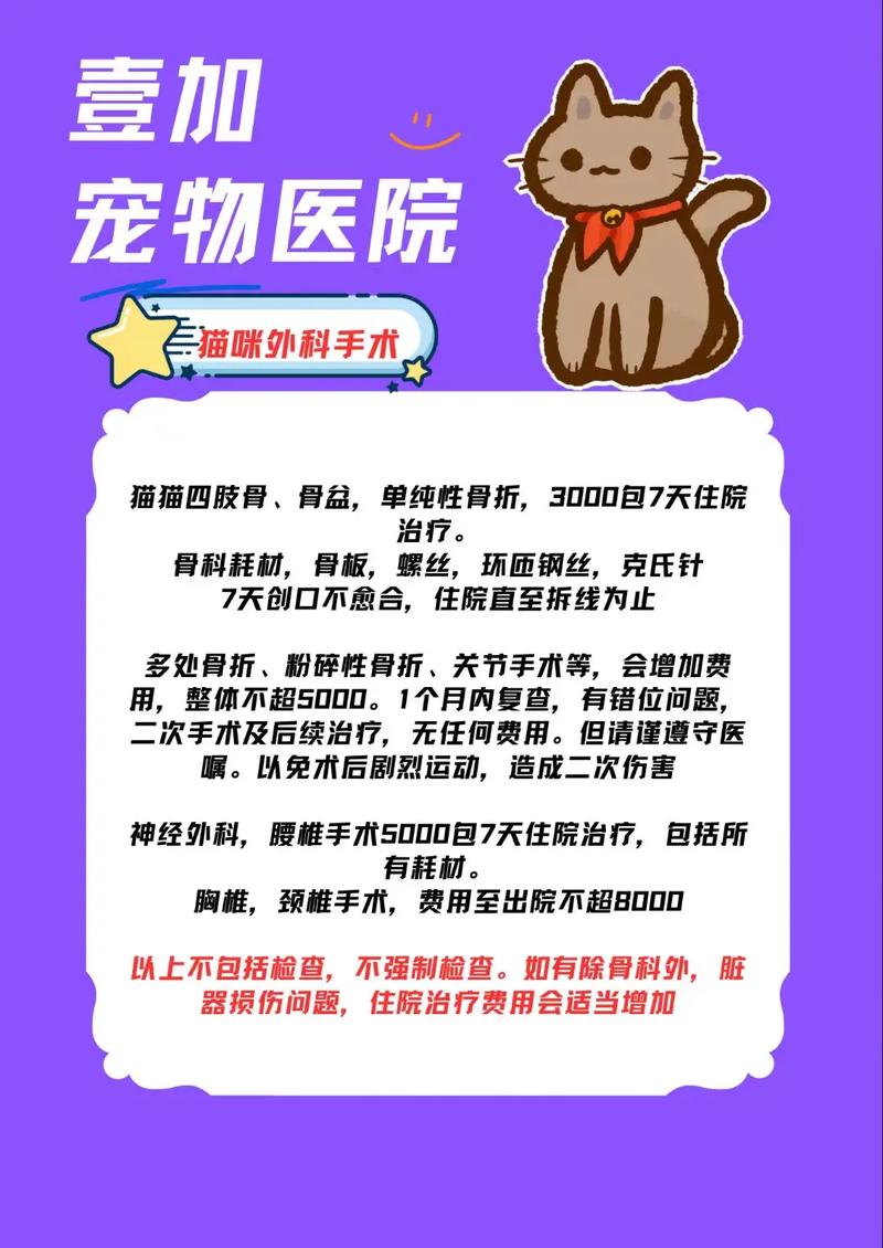 宠物医疗事故赔偿：标准与维权指南
