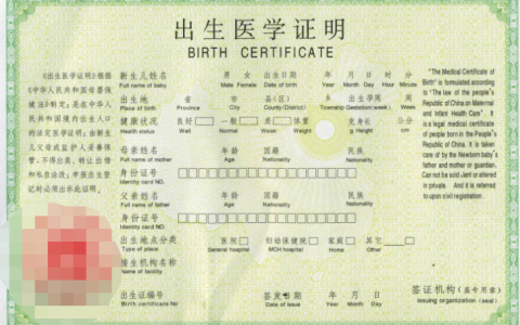 出生证父母信息造假？法律责任与后果全解析