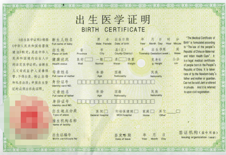 出生证父母信息造假？法律责任与后果全解析