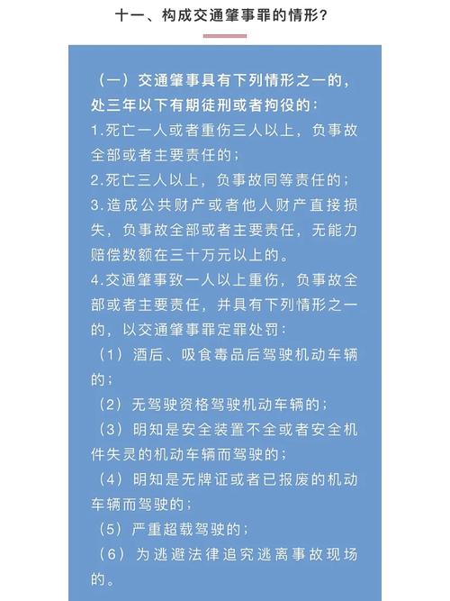 新手司机如何应对科目一考试的法律难题