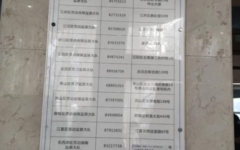 劳动仲裁全流程指南：从申请到维权一本通