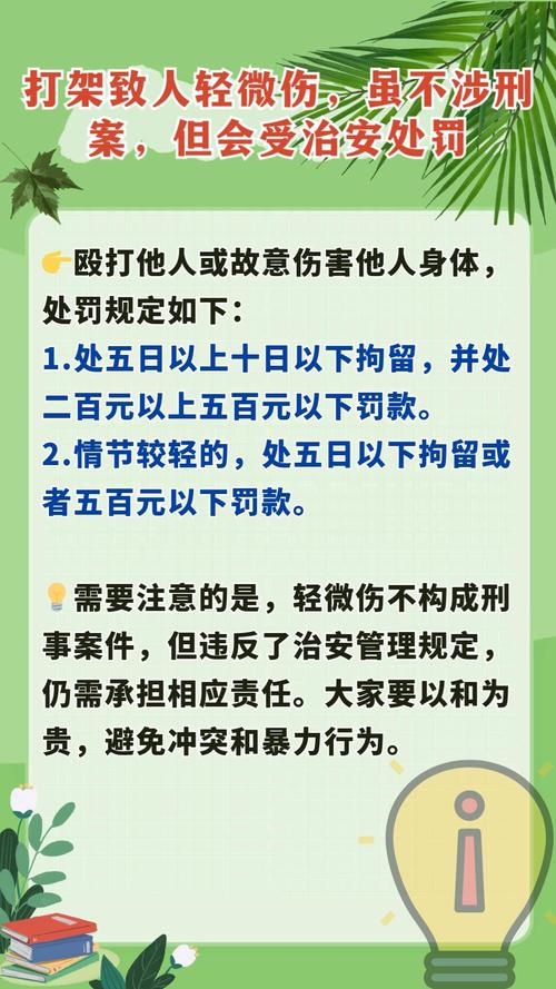 打人致轻微伤的处罚标准与赔偿规定