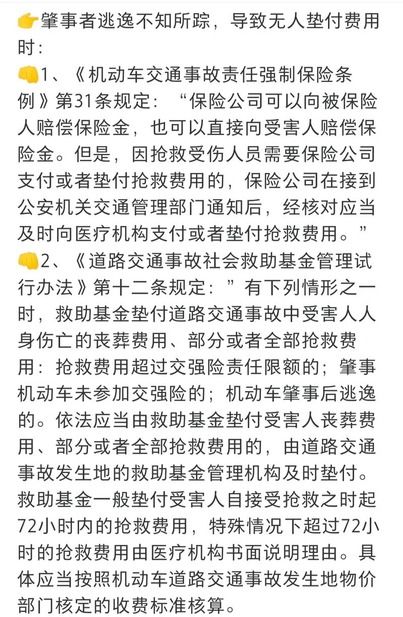 肇事逃逸法律责任解析与风险防范指南