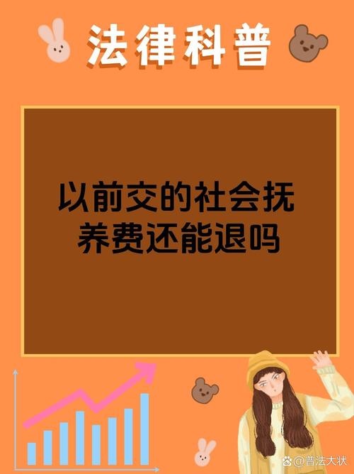 社会抚养费能否退还？法律专家深度解读