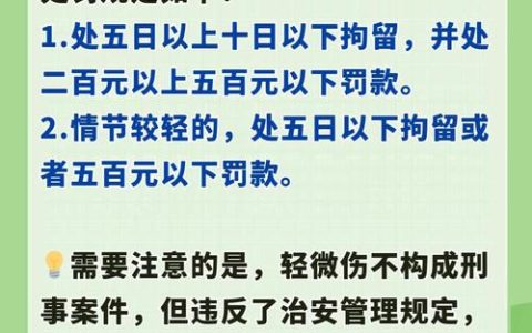 殴打他人致轻微伤的法律责任与处罚标准