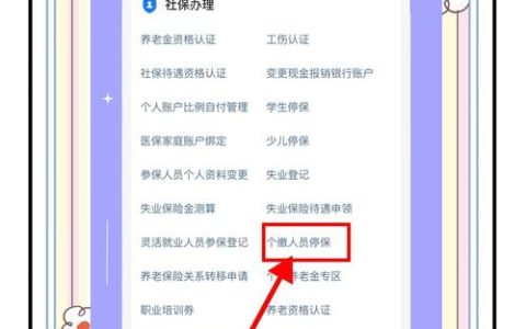 辞职后社保怎么交？五种方案全面解析