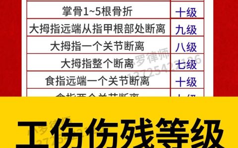 交通事故伤残鉴定：最佳时机与完整指南