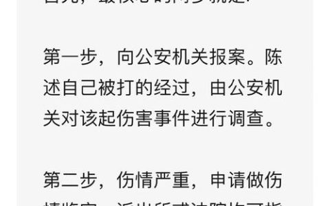 被打伤后如何合理索赔：法律途径与赔偿标准详解
