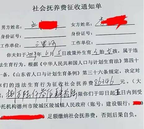 社会抚养费的终结：法律变迁与权益保障全解析