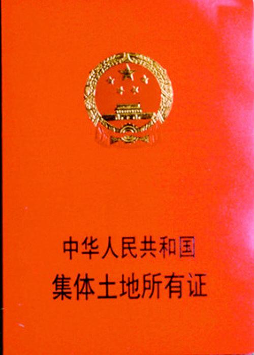 离婚证件全解析：高效办理避坑指南