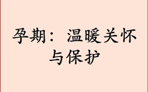 计划生育法新规解析与生活影响