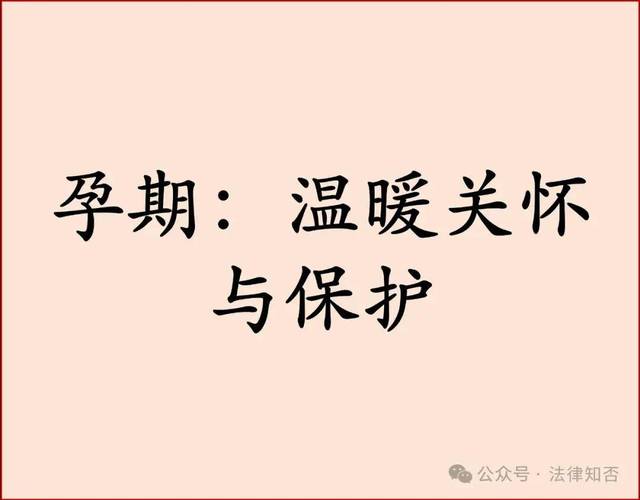 计划生育法新规解析与生活影响