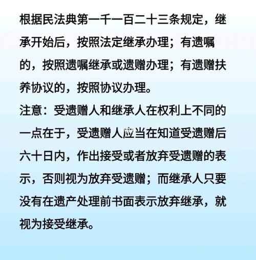 独生子女法律规定全解析：权益与义务