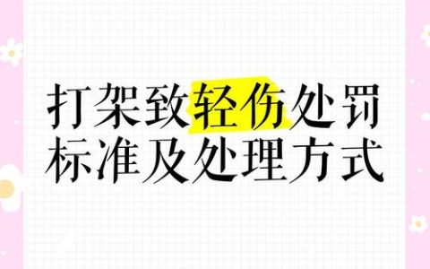 打架致轻微伤的法律责任与处罚详解
