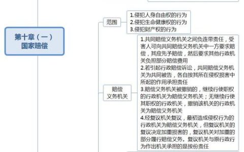 国家赔偿程序全解析：维权路径与实操指南