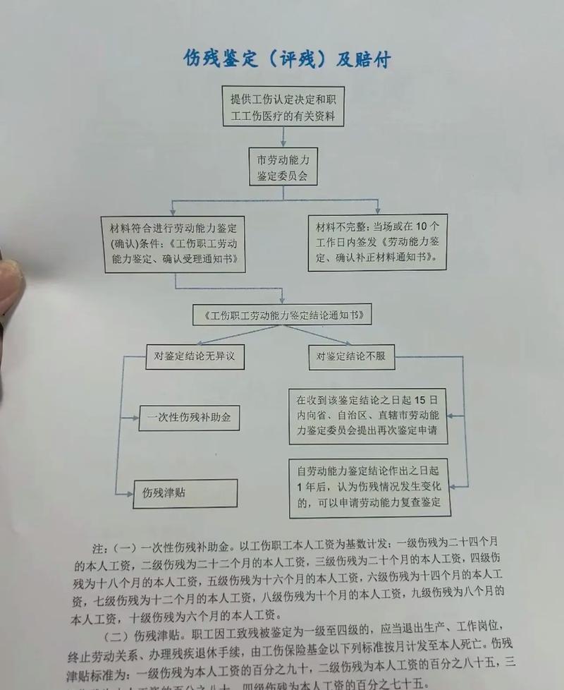 伤残鉴定全流程详解与费用标准指南