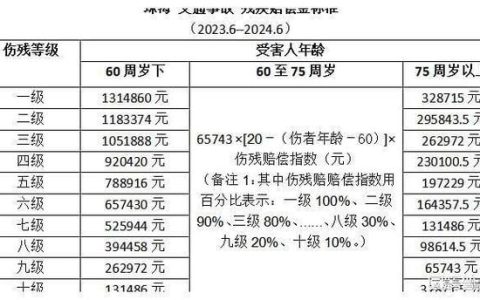 车祸精神损害赔偿标准解析与实务指南