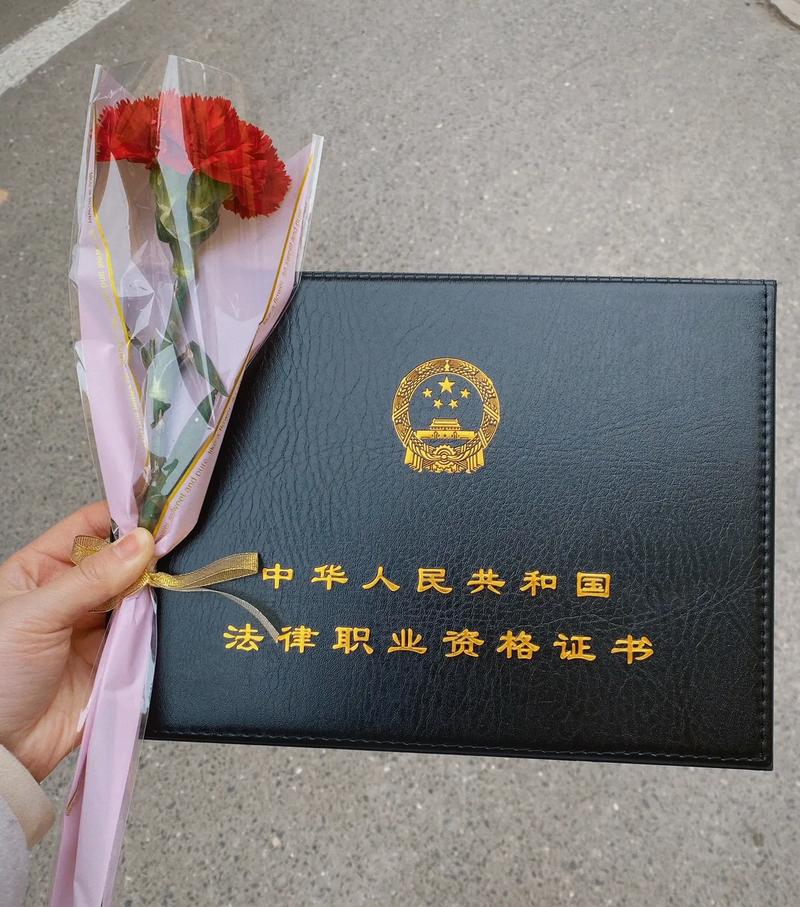法律职业资格考试全攻略：备考策略与应试技巧