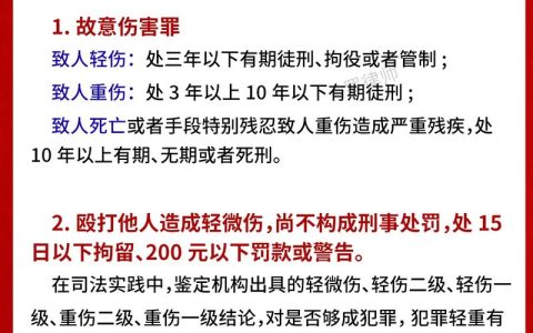 遭遇轻伤一级，该如何维护权益？法律专家教你应对