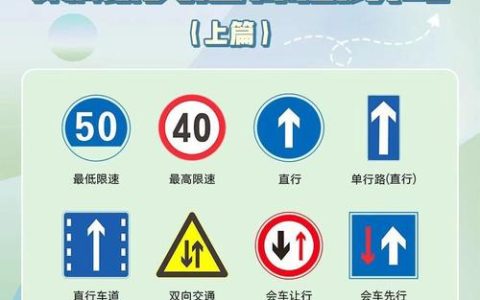 道路交通法规实用指南：权益保障与责任厘清