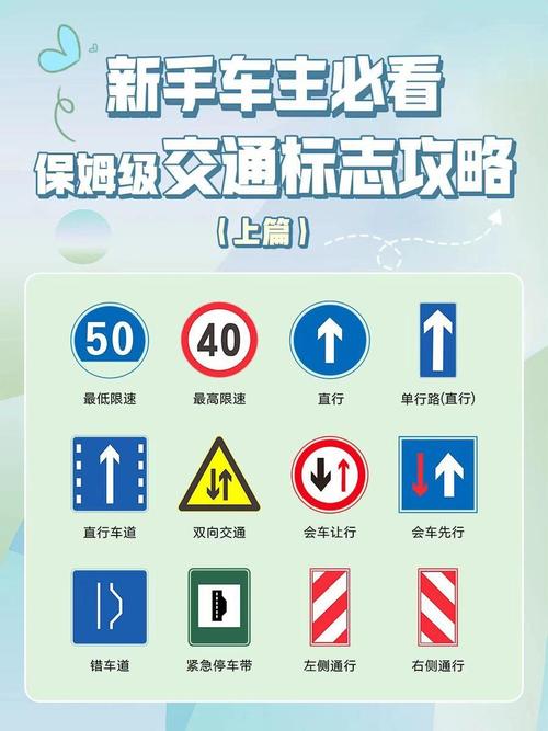 道路交通法规实用指南：权益保障与责任厘清