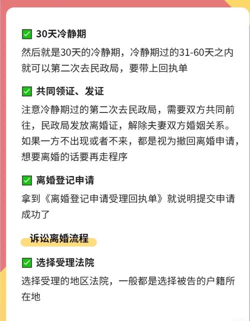 离婚诉讼费用标准与承担规则详解