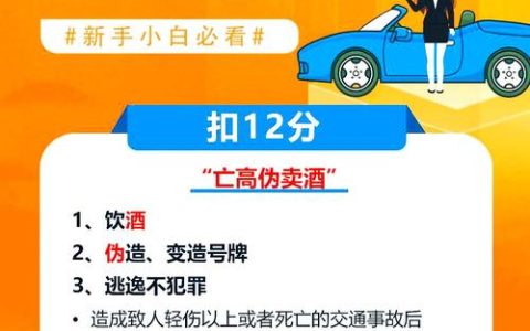 权威解读最新交通违法记分规则与应对