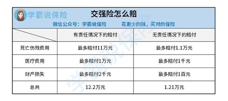 驾车必备：第三者责任险全方位深度解析