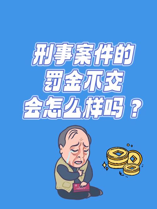 刑事罚金交不起？法律途径与应对策略