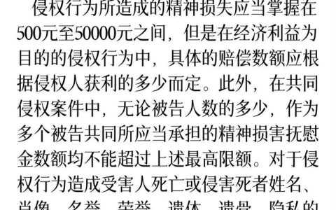 精神损害赔偿标准详解与实务指南