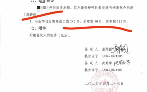 守护幼苗：六岁以下儿童伤残鉴定权威指南