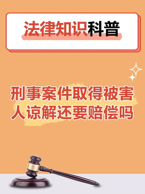 犯罪嫌疑人无力赔偿的法律应对与解决方案